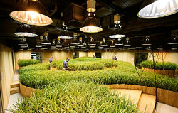 jardines subterraneos en japon